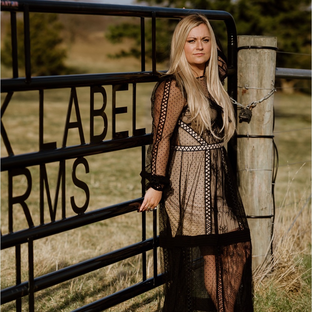 Sheer Panel gothic dress